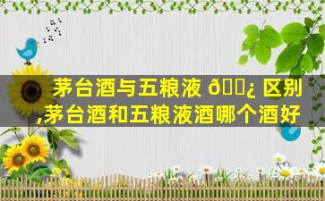 茅台酒与五粮液 🌿 区别,茅台酒和五粮液酒哪个酒好